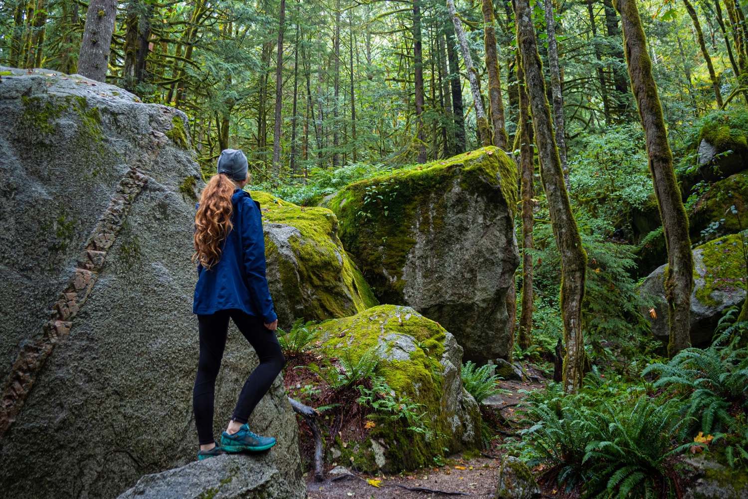 Best Places to Explore the Squamish Rainforest Image