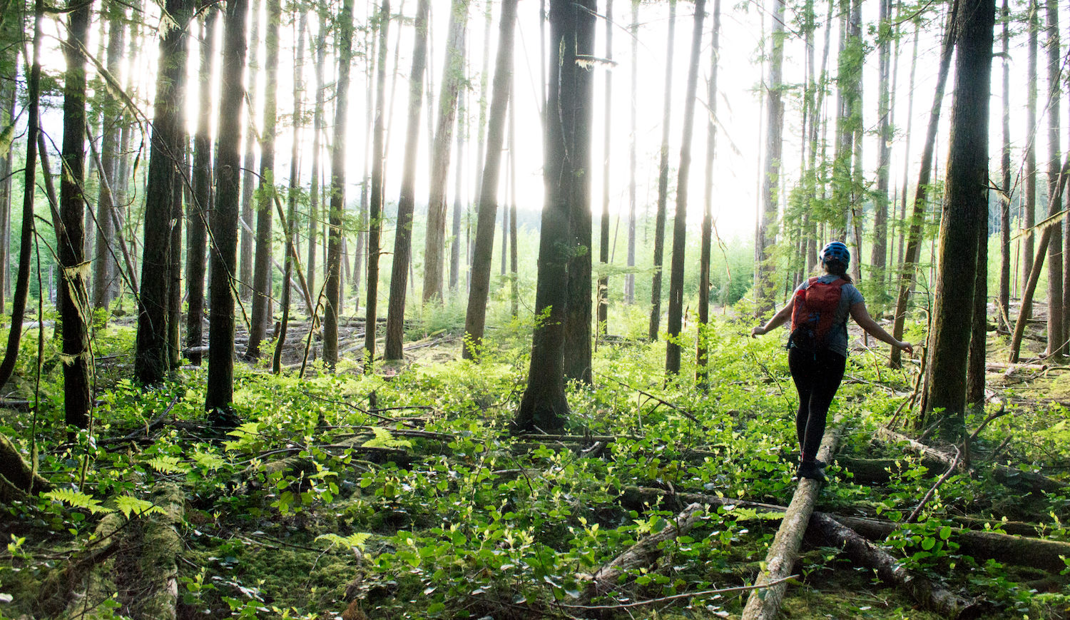 Squamish Bike Guide: Brackendale Zone Image