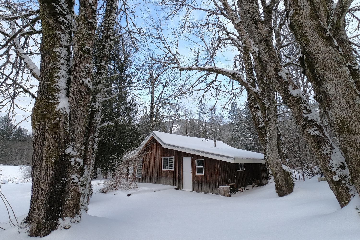 Cabin Life at Sunwolf Riverside Resort Image