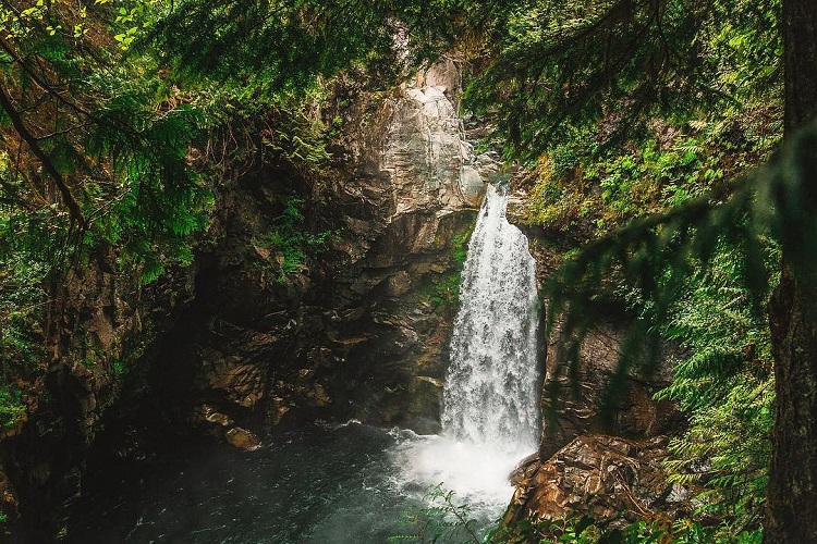 Best Places to Explore the Squamish Rainforest Image