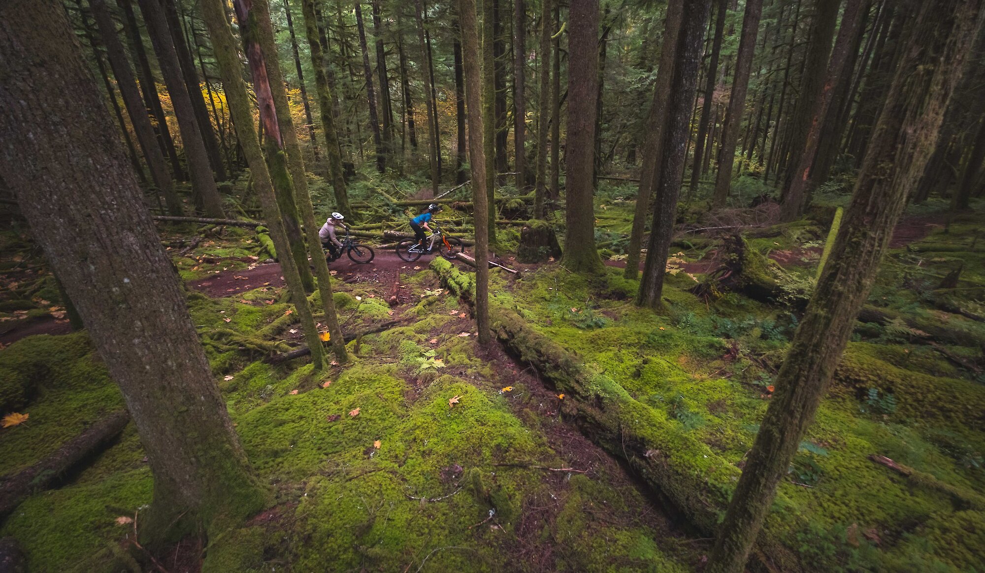 Fall Mountain Biking in Squamish